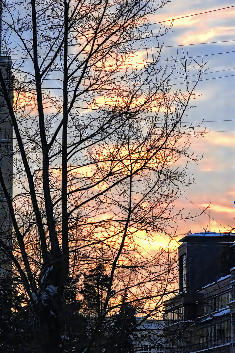 Вид из окна зимним утром