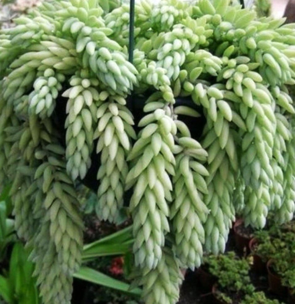 Фото из открытых источников.