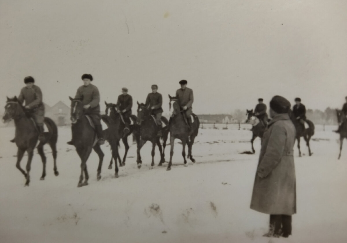 Фото зимнего  конного завода  "Восход" из Архива фото Музея  славы и достижений. 