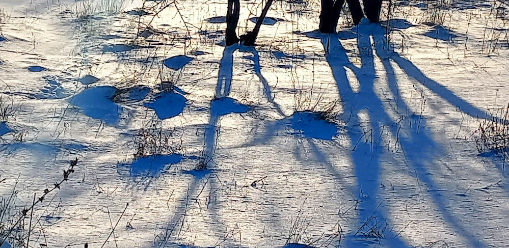 луг зимой. не покрытая снегом земля. земля покрытая снегом. земля покрыта снегом словно покрывалом. не покрытая снегом земля.