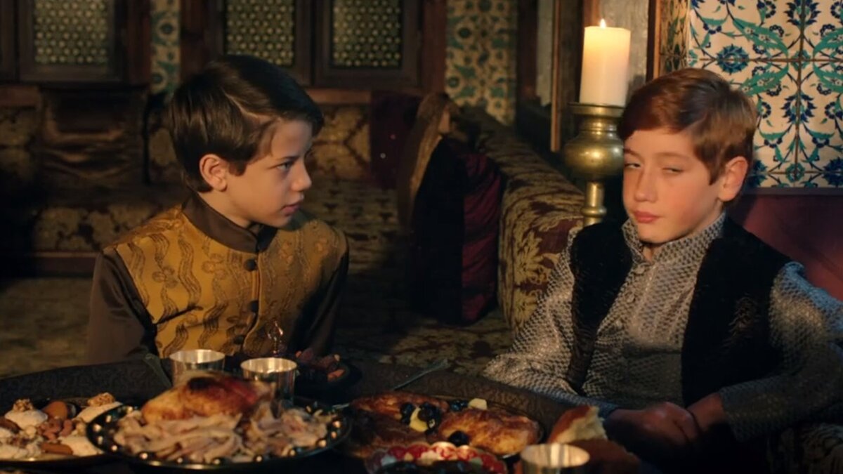 Шиба ину боди. Для важных переговоров животные. Ярослав косухин. Кот мем. Очень смешной кот.