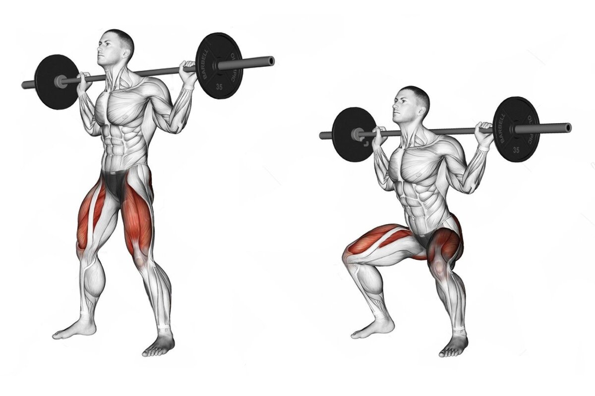 план тренировок со штангой. программа тренировок со штангой. программа тренировок с гантелями для мужчин. шраги со штангой техника. тренировки со штангой в домашних условиях для мужчин программа.