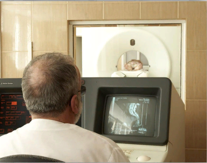 Где в моем доме. Кухня с семьей иллюстрация для детей. Комнаты в доме. Мужчина в моем доме дорама. Домик с комнатами по английскому языку.