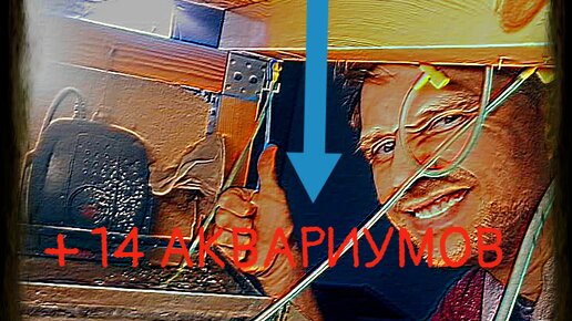 Подключил 14 аквариумов к одному компрессору фирмы Sera, что в итоге получилось?