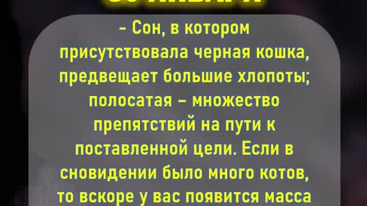 К чему приснилась шапка. Видеть во сне шапки. Видеть во сне шапки. Связать с нами. Толкование снов шапки.