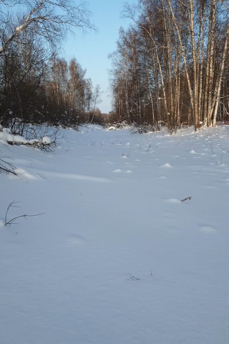 Фото автора канала "Удивительный мир живой природы "