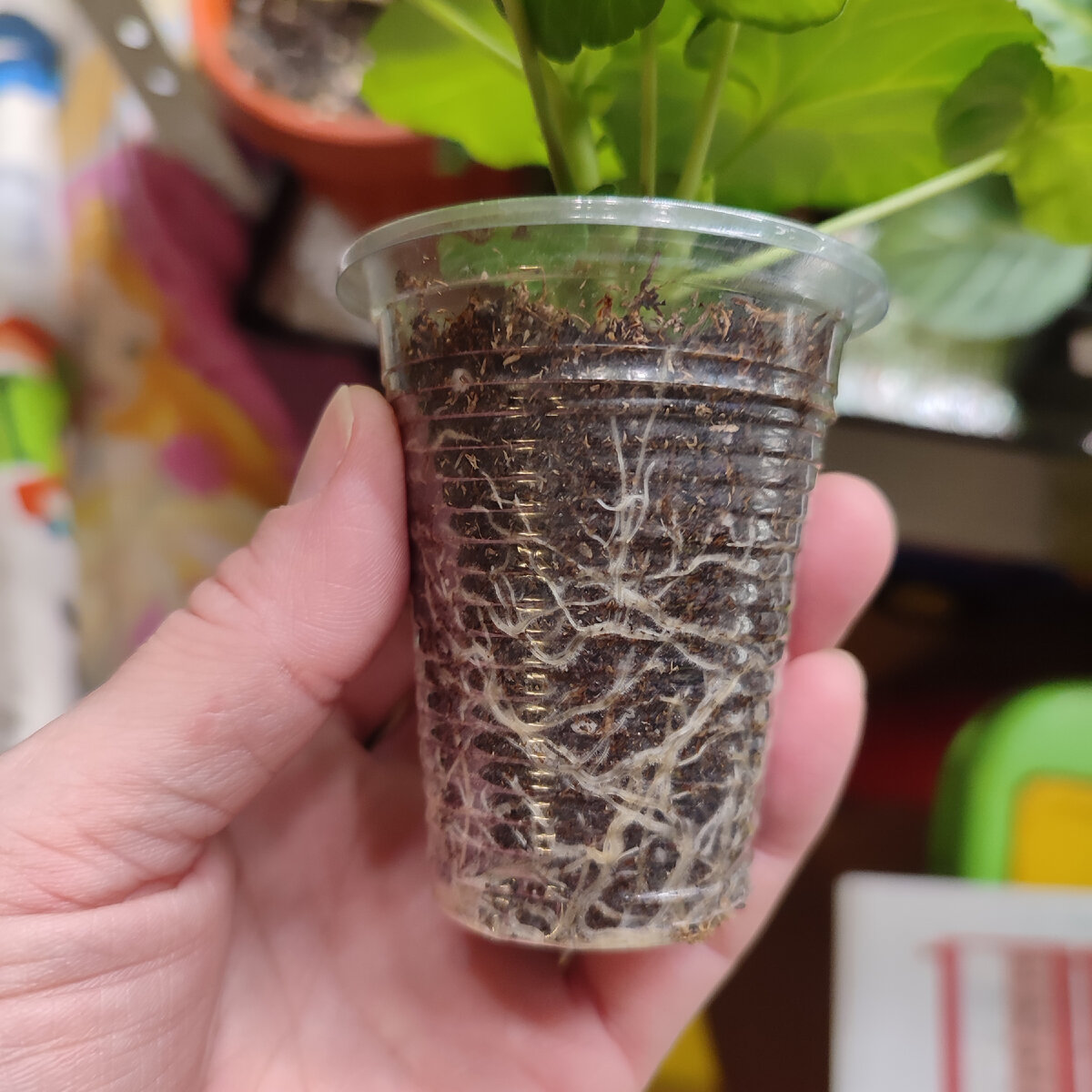 офисный работник. через пень-колоду значение. креативные фотосессии парней. делать дело небрежно. кто делает дело божье небрежно.