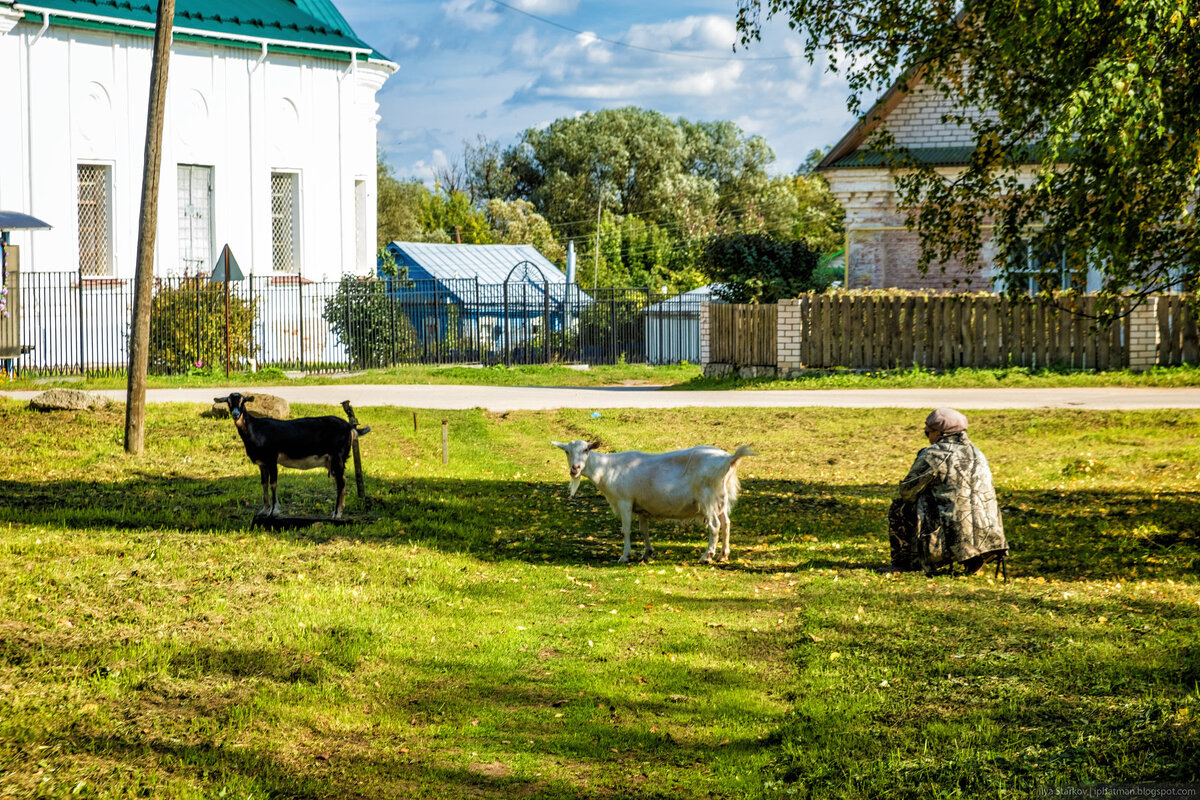 Старое село Работки (Нижегородская область) Часть 2/2 | Блог заметок и  фотографий | Дзен