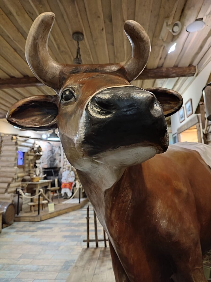 рис и дрожжи кострома. рис и дрожжи кострома. дрожжи это одноклеточные микроорганизмы. рис и дрожжи кострома. виды дрожжей.