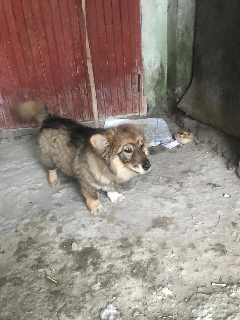 Сотрудники фсин пытают заключенного в ик 1 по ярославской области. Ст издевательство. Ответственность за психологическое насилие над человеком. Побои объект преступления. Статья о побоях в уголовном кодексе.