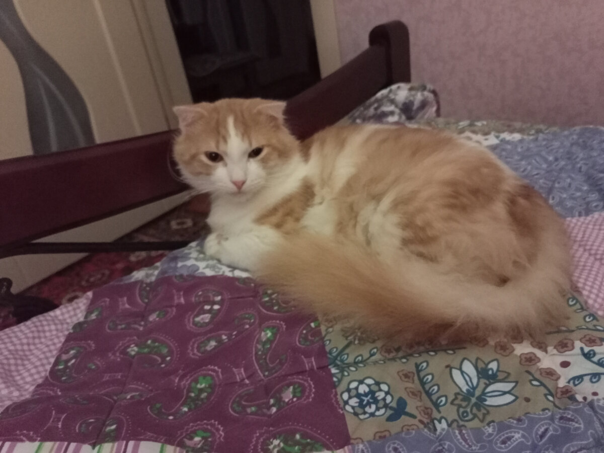 Когда выпавший снег не растаял в 2023. Уборка снега на улицах питера. Когда выпавший снег не растаял в 2023. Сугробы снега на улице. Асфальт растаял и поплыл.