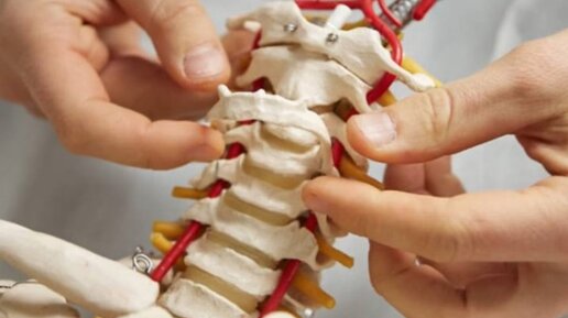 про докторов ибис. белый ибис. клиника доктора минеева. Ibis hotel moscow динамо. отель ibis 1974.