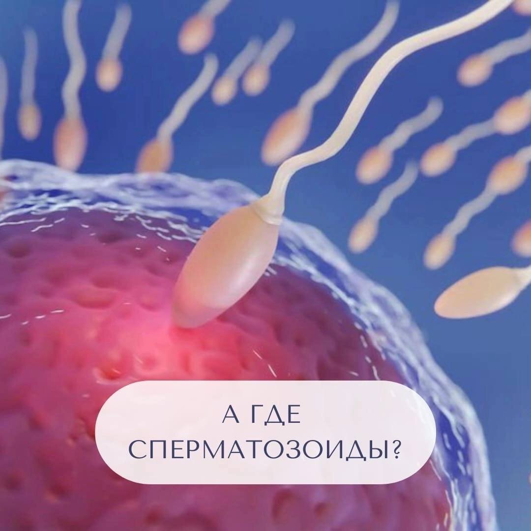 В половой системе здорового мужчины каждую секунду появляются 1500 новых сперматозоидов. Только вдумайтесь в эту цифру!