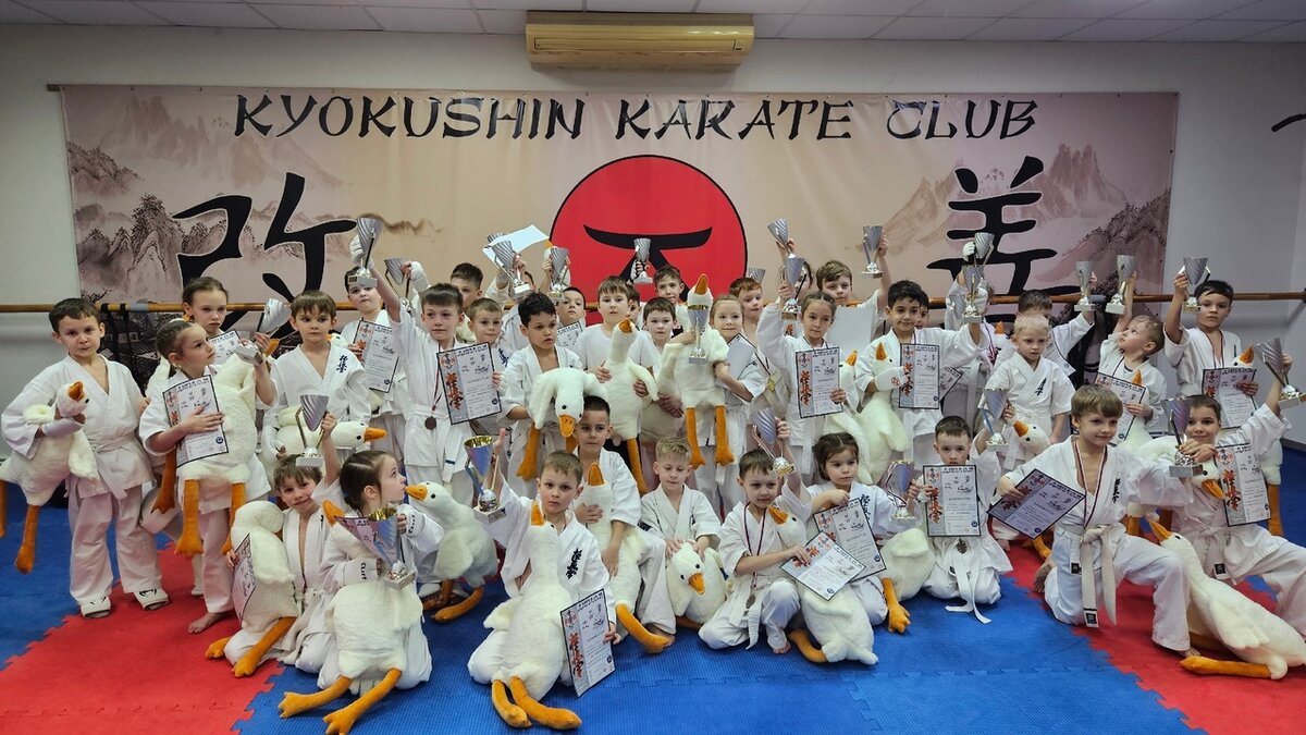 Детки с пяти лет, смешные котята!