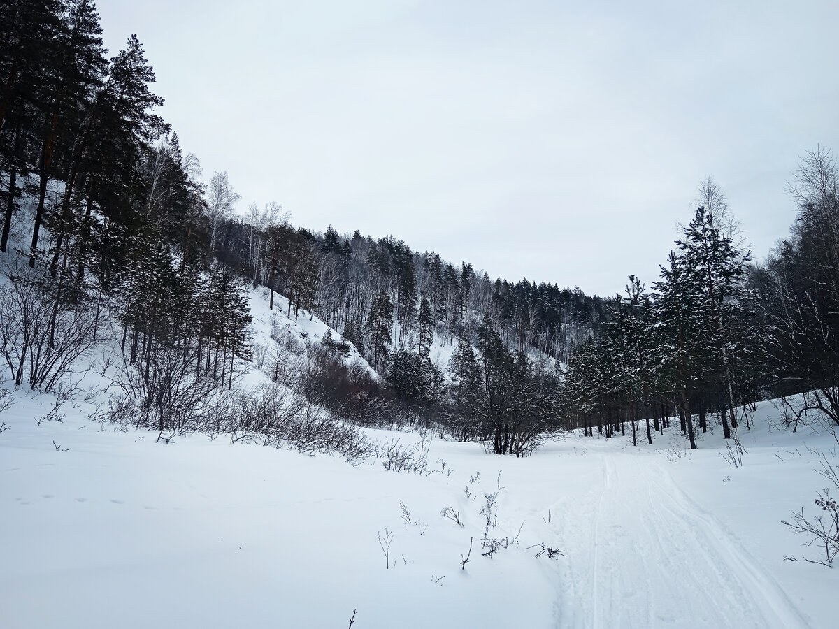 Ширяевский овраг 28.01.2024 г. Фото автора.