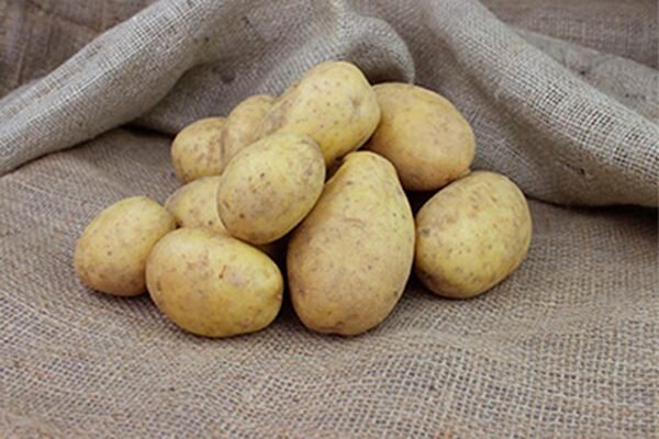Картошка Гала и Вега. Сорт картофеля Вега. Сорт картошки Вега. Ранние сорта картофель Вега.