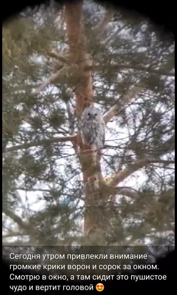 Скрин со статуса