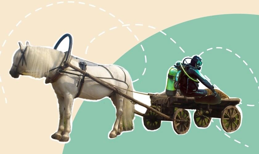 © Автор: Ольга Гладнева