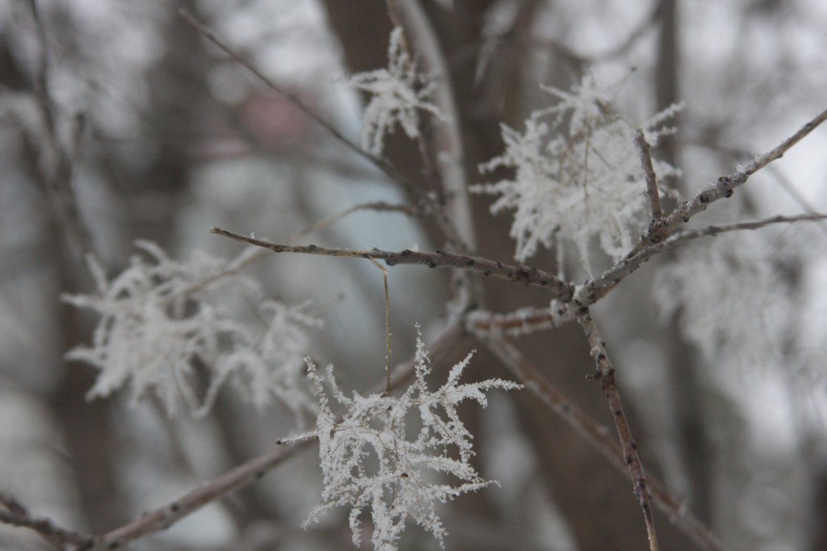 Погода в нижнем шибряе. Погода нижний новгород сегодня сейчас. Погода слободской на неделю подробно точный. Погода в нижнем шибряе. Погода в нижнем шибряе.