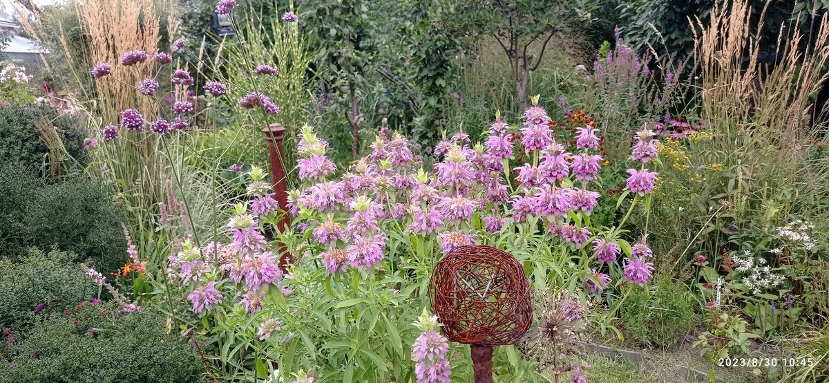 осень наступает