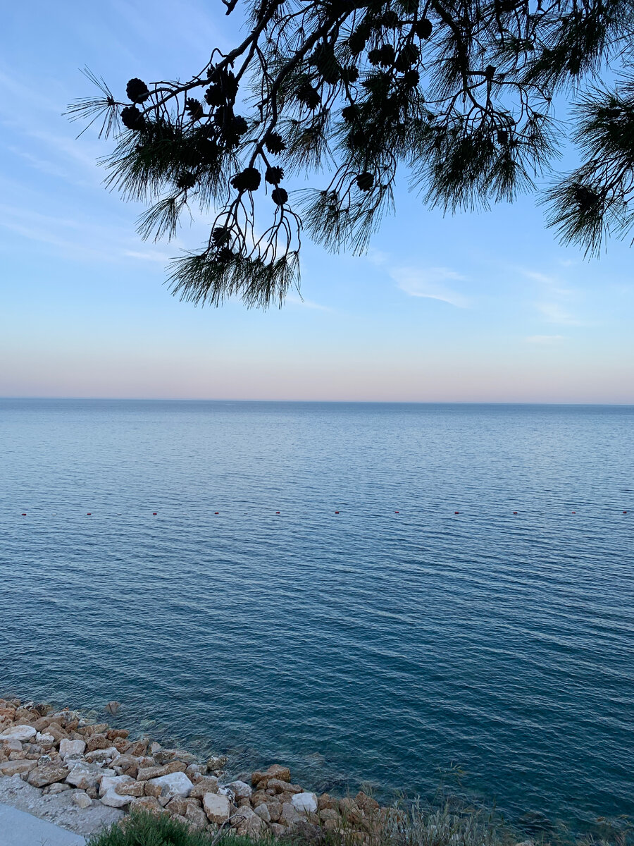 стояла тихая погода. стоймя стоит. зимние позитивные стихи. сухая, тихая погода. сухая тихая погода на улице шагах в пяти пастернак.