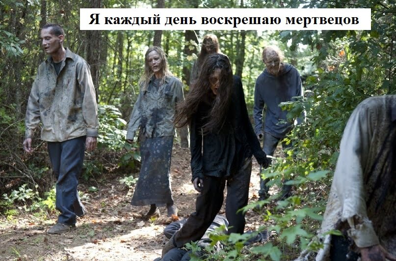 Рост биомассы