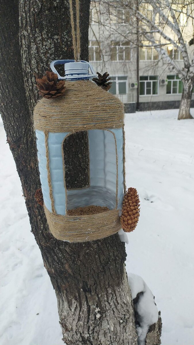 Птичья кормушка