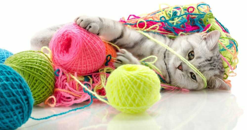 Связал сестричек. Связанная сестренка. Связал сестричек. Связанная сестра. Связанная сестренка.