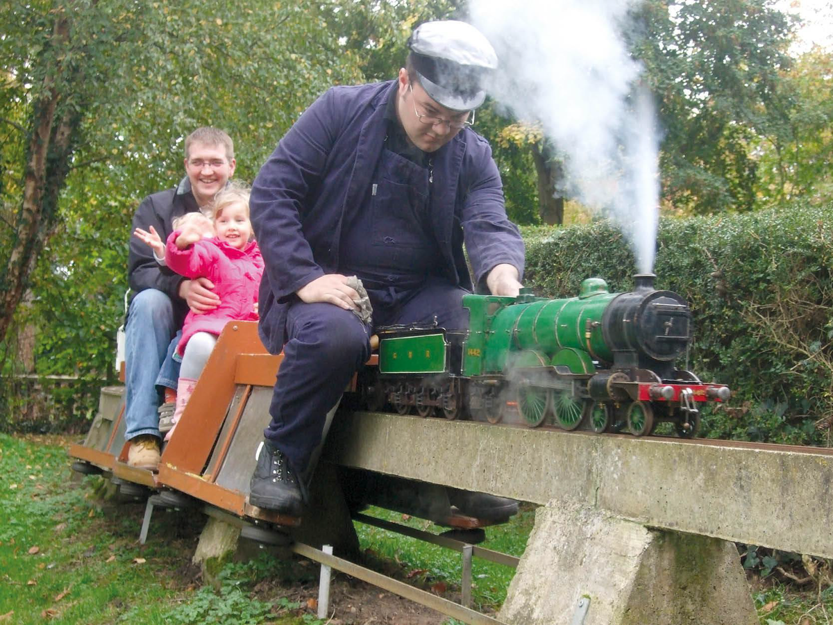 синтез гормона тироксина. секрет копчиковой железы птиц. тироксин биохимия функции. единственная железа. единственная железа.