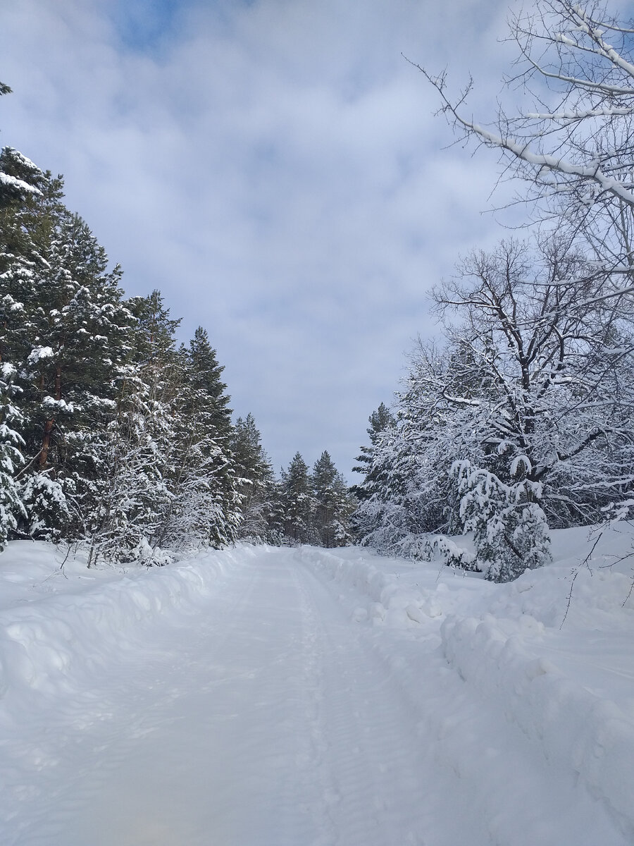 Недлинная, правда, дорожка-то😊