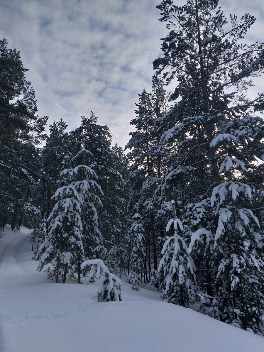Дед Мороз разукрасил😊