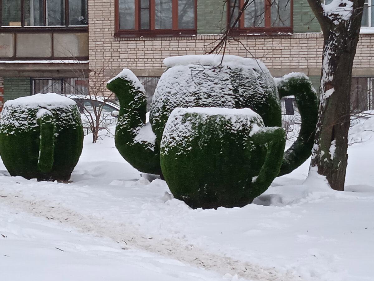 Фото автора