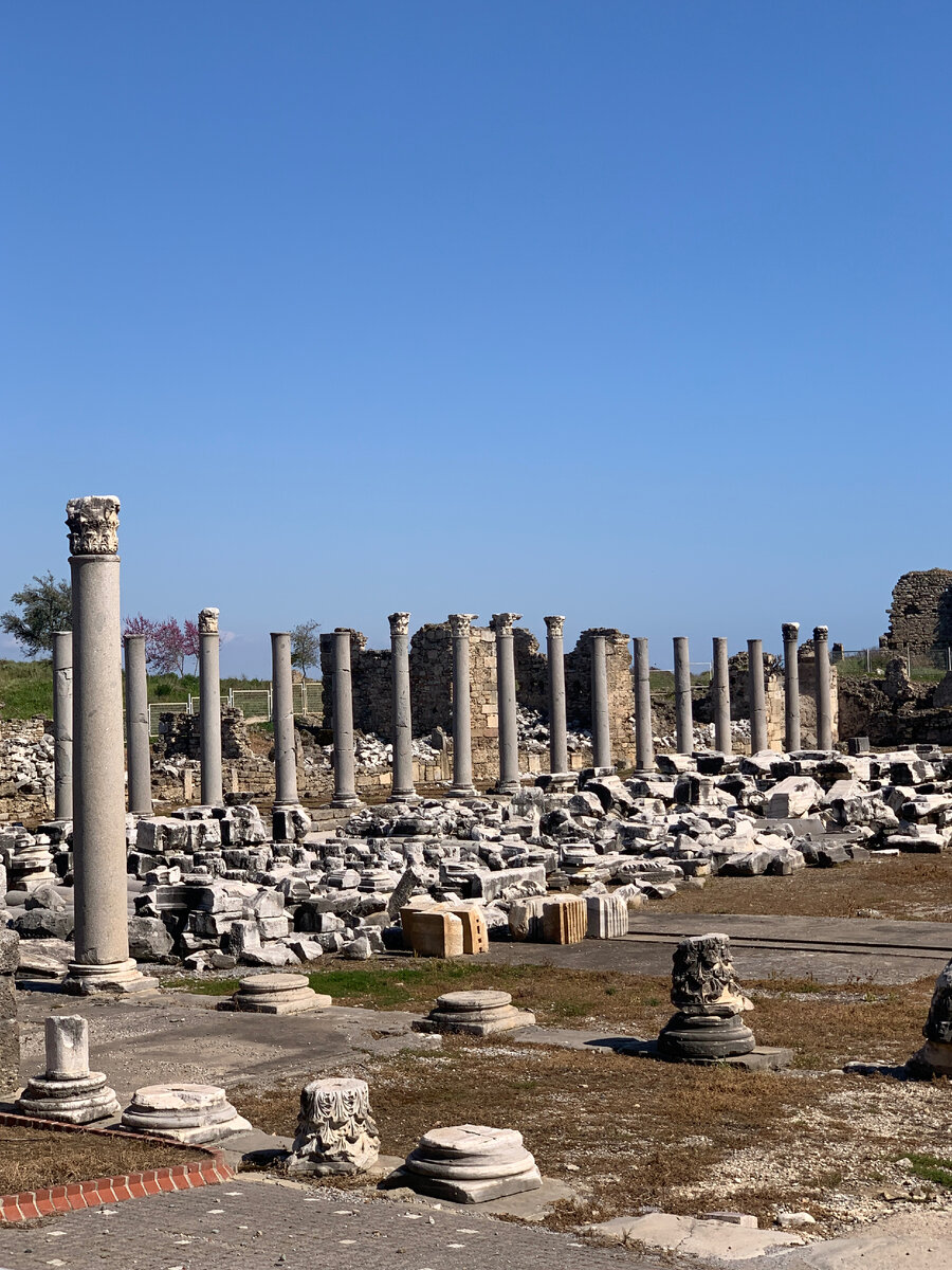 тридевятое царство рязань солотча. сочи парк гостиница богатырь. гоа отели. парк аттракционов адлер олимпийский парк. спа отель подмосковье.