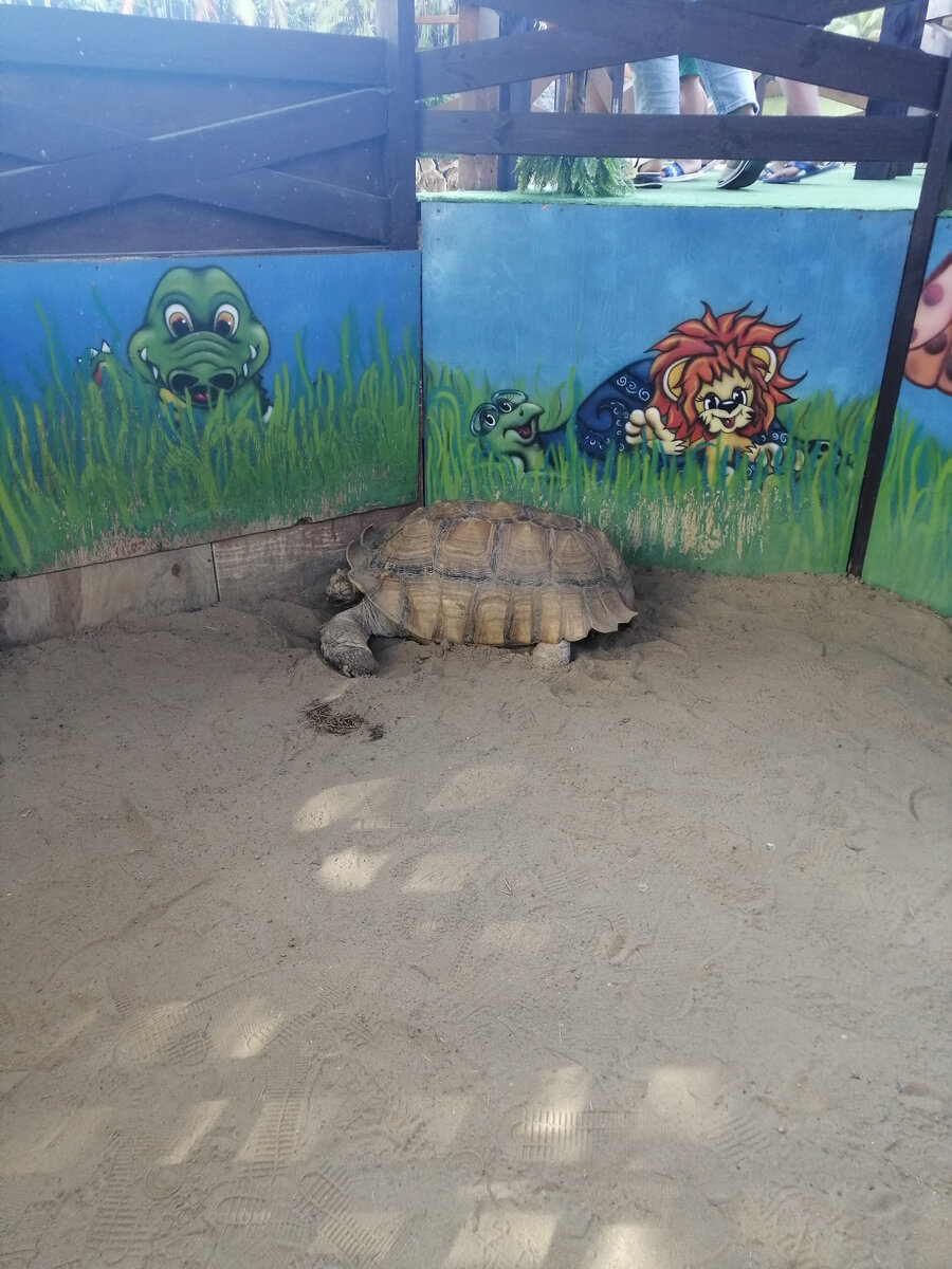 2 поликлиника ейск. номер 1 поликлиники ейск. 3 поликлиника ейск. 1 поликлиника ейск взрослая. ул победы 101 ейск.