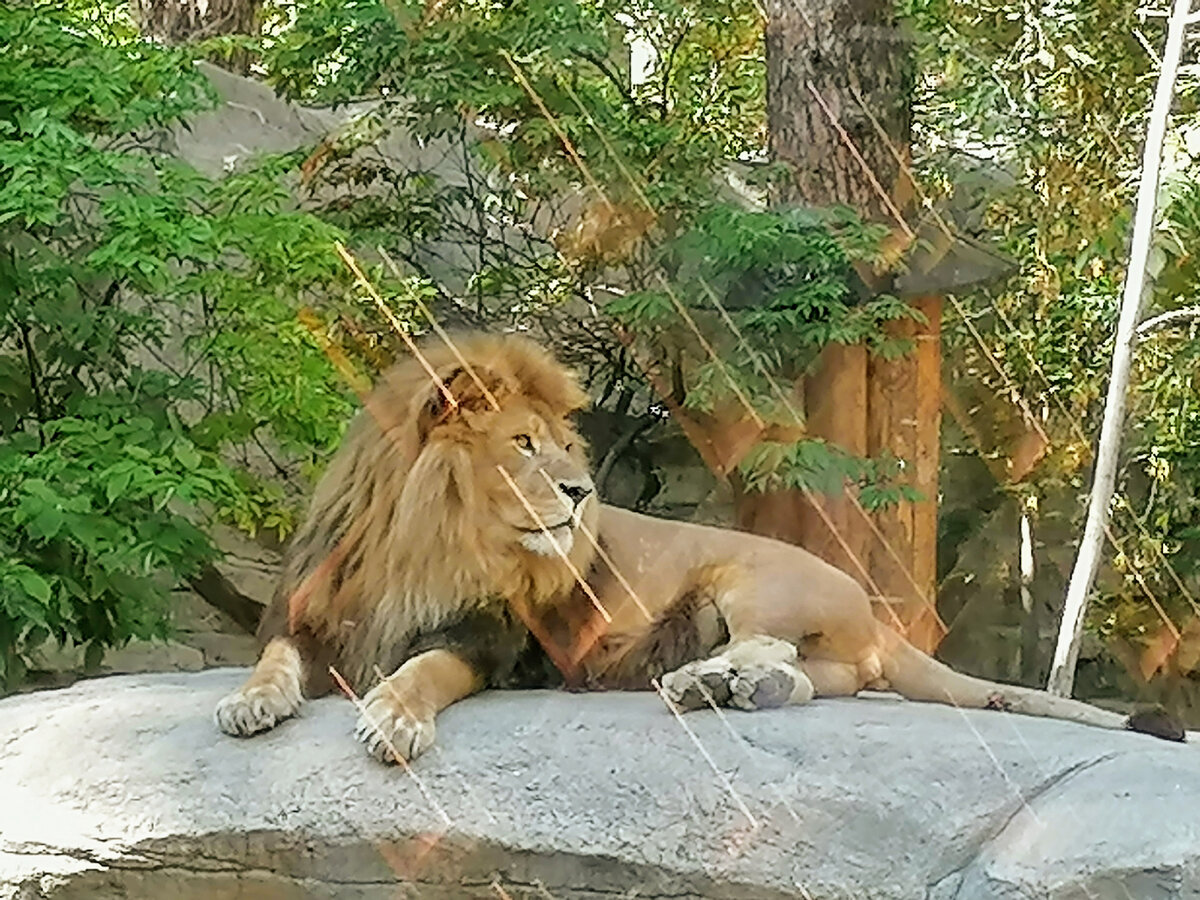 Личное фото