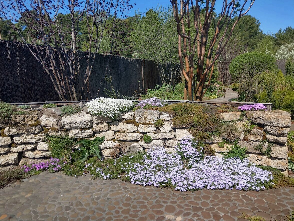 Каменная стенка весной