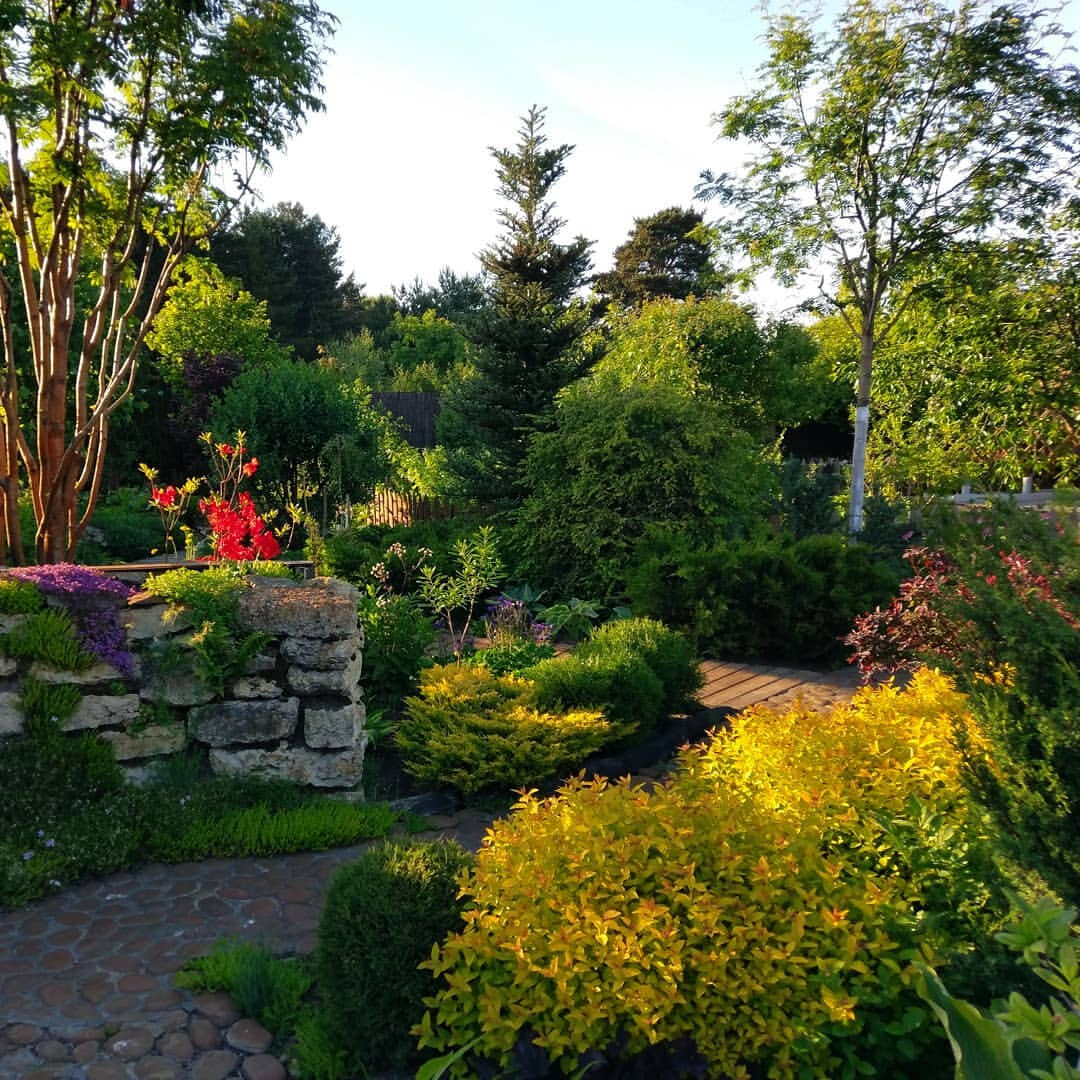 Этот угол сада, другой ракурс