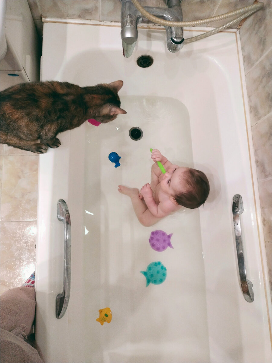 Девочки выясняют отношения 