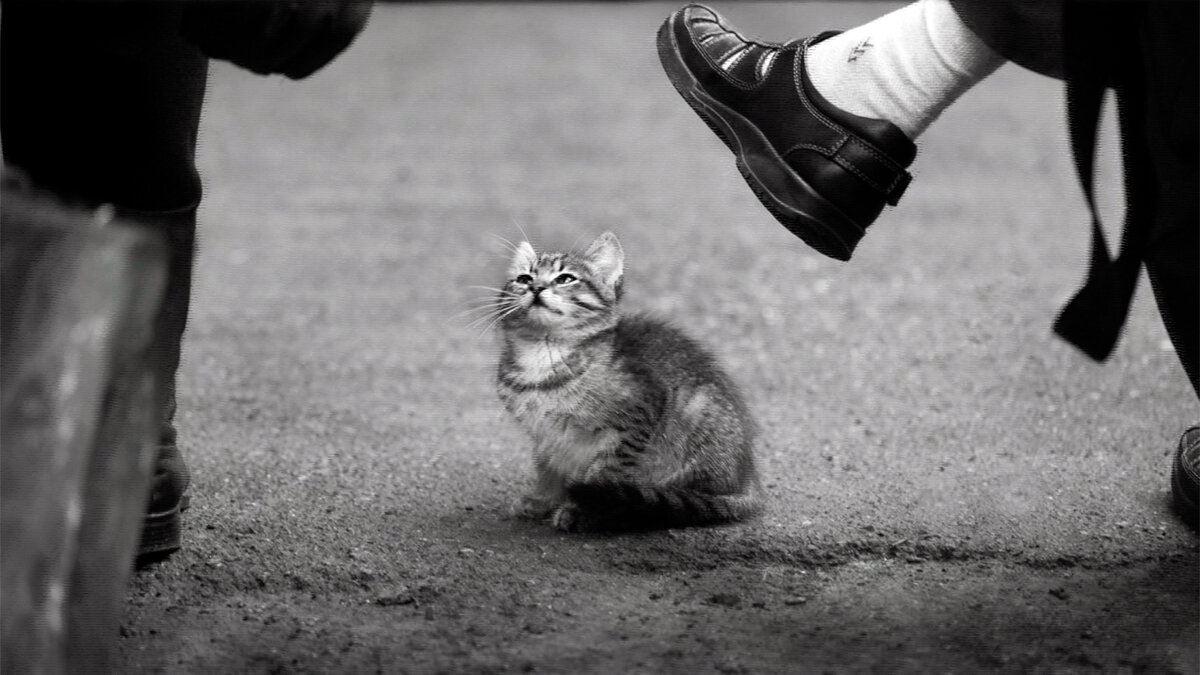 источник фото: sun6-22.userapi.com