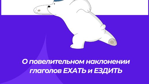 Медведь ошибок. Бурый медведь спит. Медведь в карелии. Ошибка картинка прикол. Медведь ошибок.