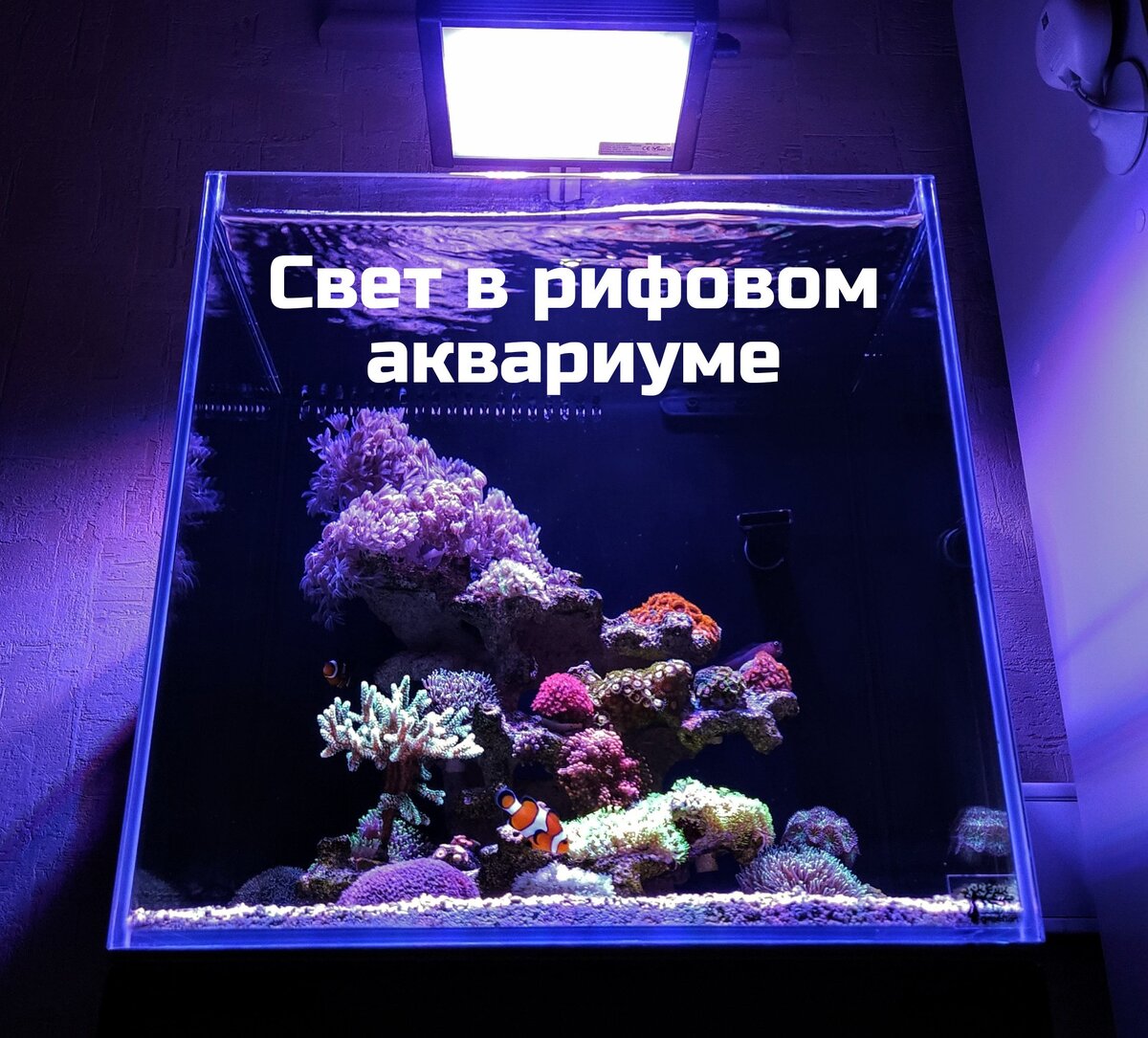 Освещение в морском, рифовом аквариуме 