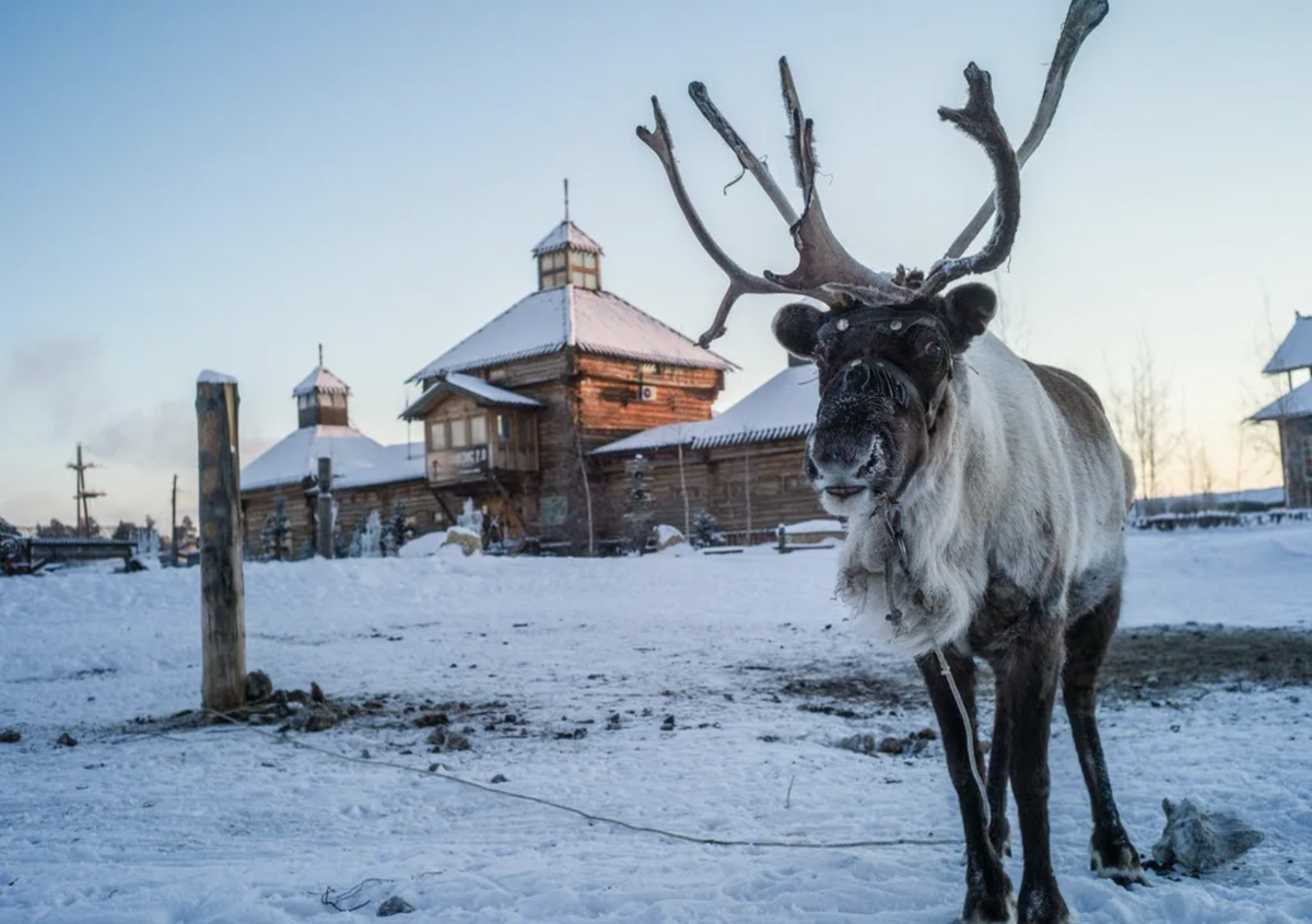 Волшебный лед сибири. Волшебная сибирь. Волшебная сибирь. Конкурс ледяных фигур красноярск. Конкурс ледовых и снежных скульптур.