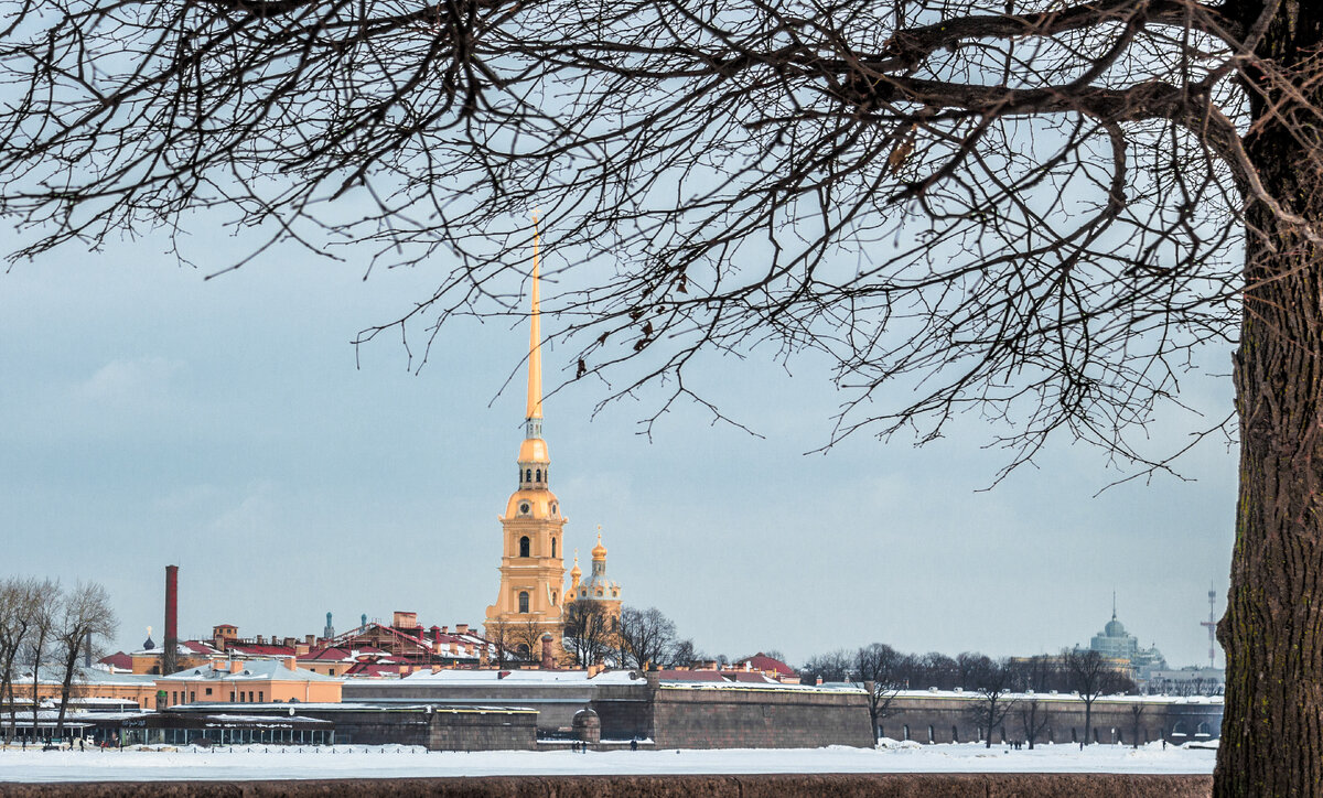 Крепость с Васильевского острова. Фотография автора.