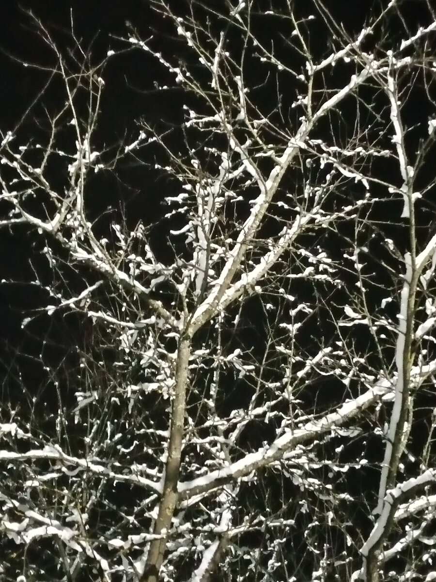 Последнее воскресенье января.Уже.?? Покупки и еда. | Светлана Букашкина ...