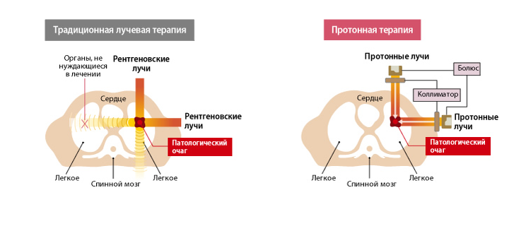 компьютерный томограф для животных. лучевая терапия собакам. лучевая терапия собакам. ветеринарная реанимация. мрт для животных.