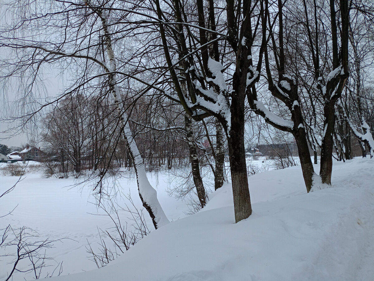 Наш зимний парк