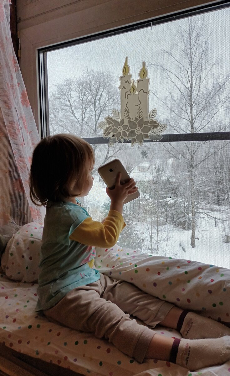 Сидим, следим за птичками. Фото автора