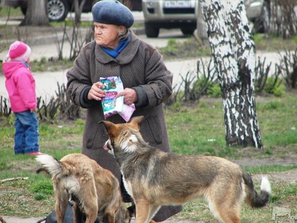 чем их там кормят. натуральная пища для кошек. кот и хозяйка прикол. котенок ест корм. кэп мемы.