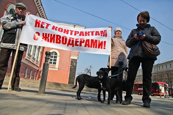 Бабушка можно к тебе приехать пожить 88