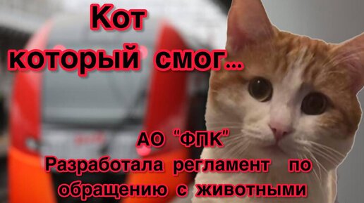 видео ржд кот. кот в железнодорожной форме. видео ржд кот. видео ржд кот. видео ржд кот.